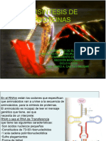 16 y 17. - Biosintesis de Proteinas - 2022