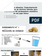 Oxidación de Alimentos: Experimentación de Los Efectos%2