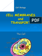 4 - Cell Membranes