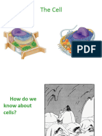 3-Techniques in Cell Biology