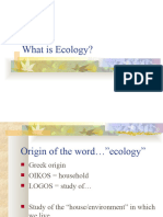 1 - What Is Ecology-K
