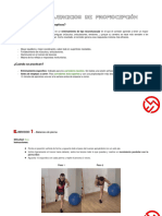 Guía Ejercicios de Propiocepción PDF