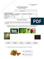 1° Evaluación Formativa Ciencias 6