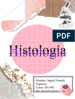 Apuntes Histología