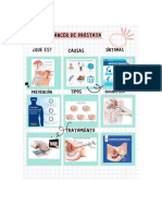 L Sistema Endocrino Es El Conjunto de