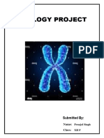 Recombinant DNA Technology in Today's Medicine"