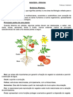 Aula EJA Ciencias Botanica