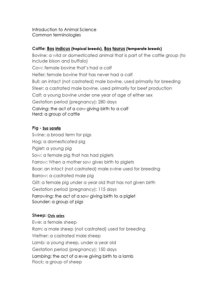 Introduction To Animal Science Terminologies PDF