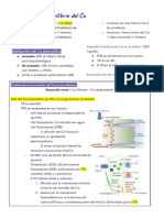 Semana 3 FISIOLOGIA V