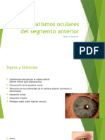 Traumatismos Oculares Del Segmento Anterior