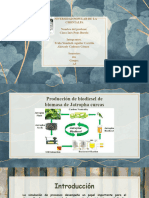 Biodiesel Frida y Aket