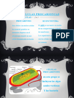 Pdfslide - Tips Celulas Procariotas Diapositivas