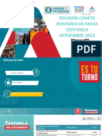 011 - Presentacion CPHS FAENA NOVIEMBRE 2023.