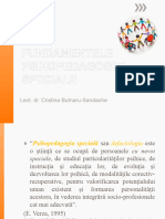 Delimitari Conceptuale - Introducere in Problematica PPS