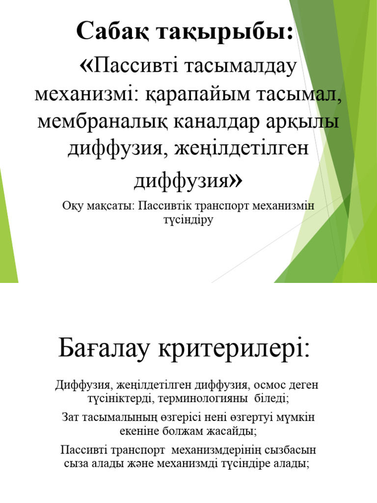 Порно бикини фестивалі