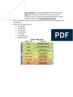 OSI Model