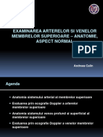 Examinarea Arterelor Si Venelor Membrelor Superioare - Anatomie