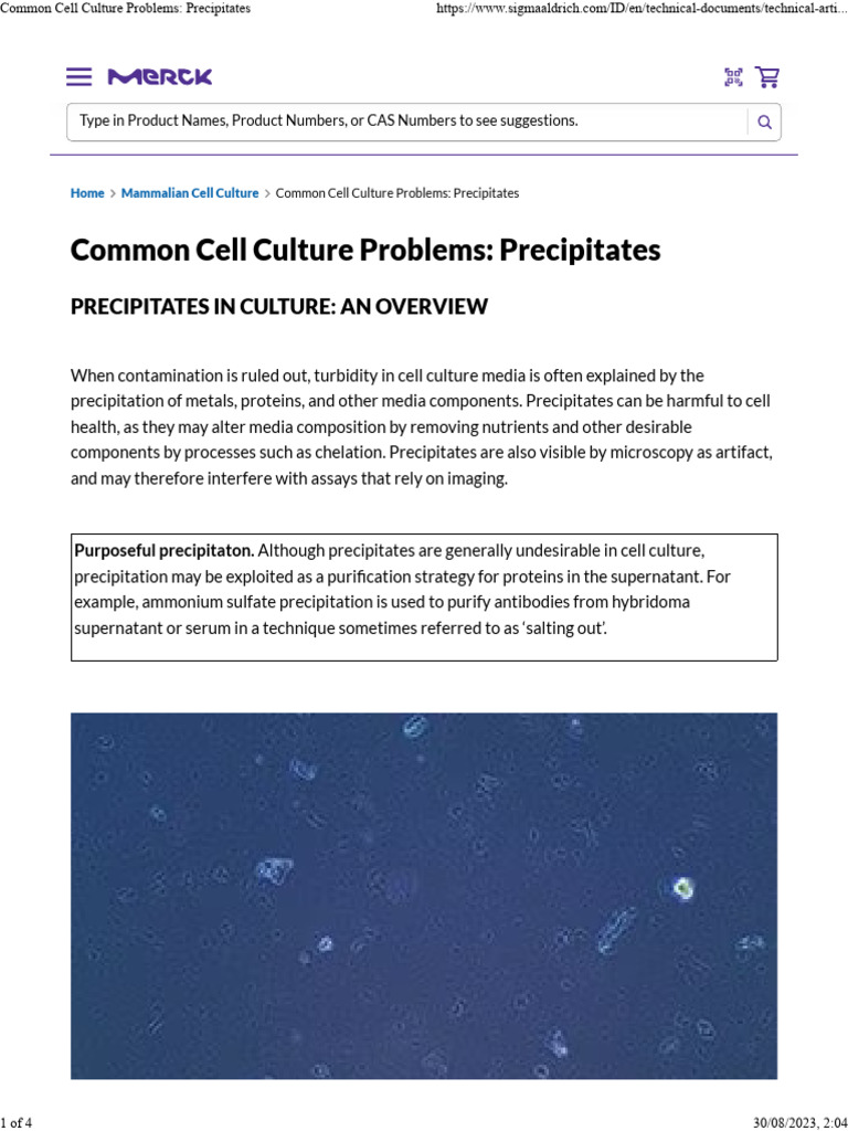 Common Cell Culture Problems Precipitates PDF Precipitation