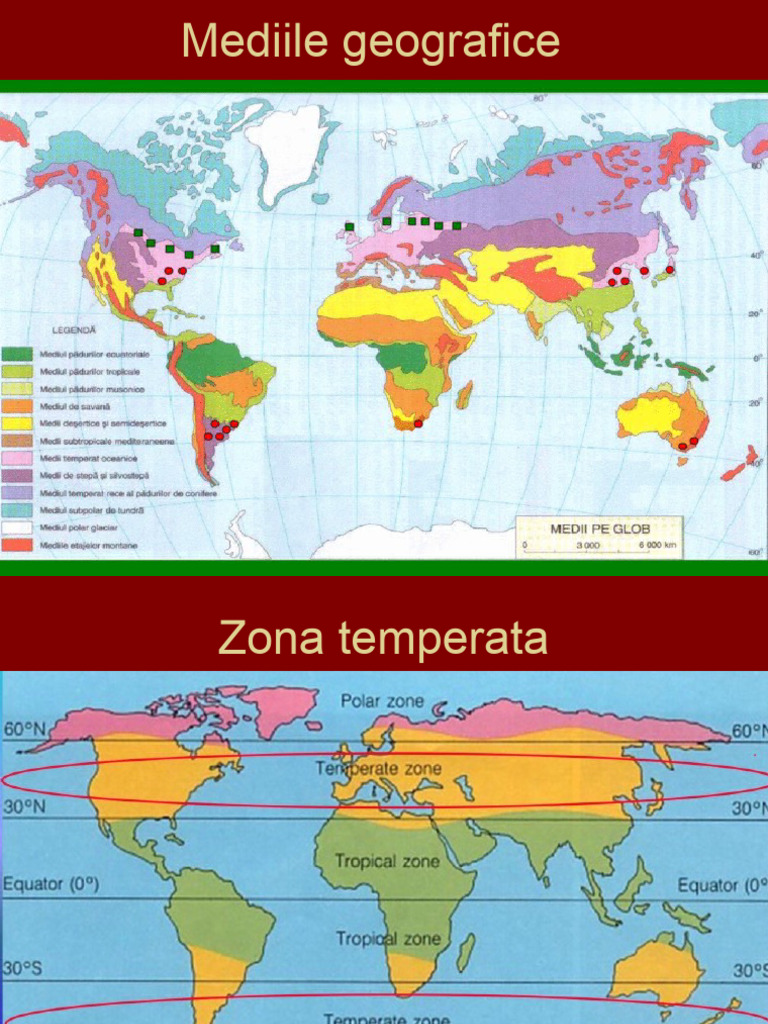 Mediile Și Peisajele Zonei Temperate | PDF
