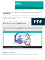 Dural Venous Sinuses - Superior Sagittal - TeachMeAnatomy