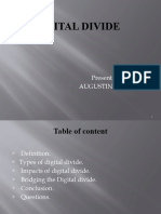 Digital Divide Slide 3