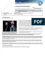 Guia de Laboratorio Encefalo