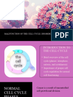 Malfunctions in The Cell Cycle