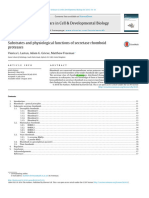 Secretase Rhomboids - Substrates and Physiological Functions of Secretase Rhomboid Proteases