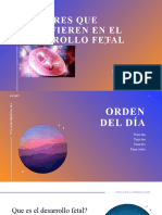 Factores Que Interfieren en El Desarrollo Fetal