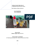 Mata Pelajaran: Bahasa Indonesia: Laporan Hasil Percobaan (Pencampuran Kunyit Dan Cuka)