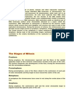 The Genetic Information of Plants