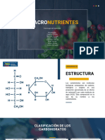 Macro Nutrient Es