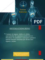 Clase Endocrino