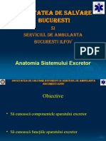 05 Anatomia Sist. Excretor