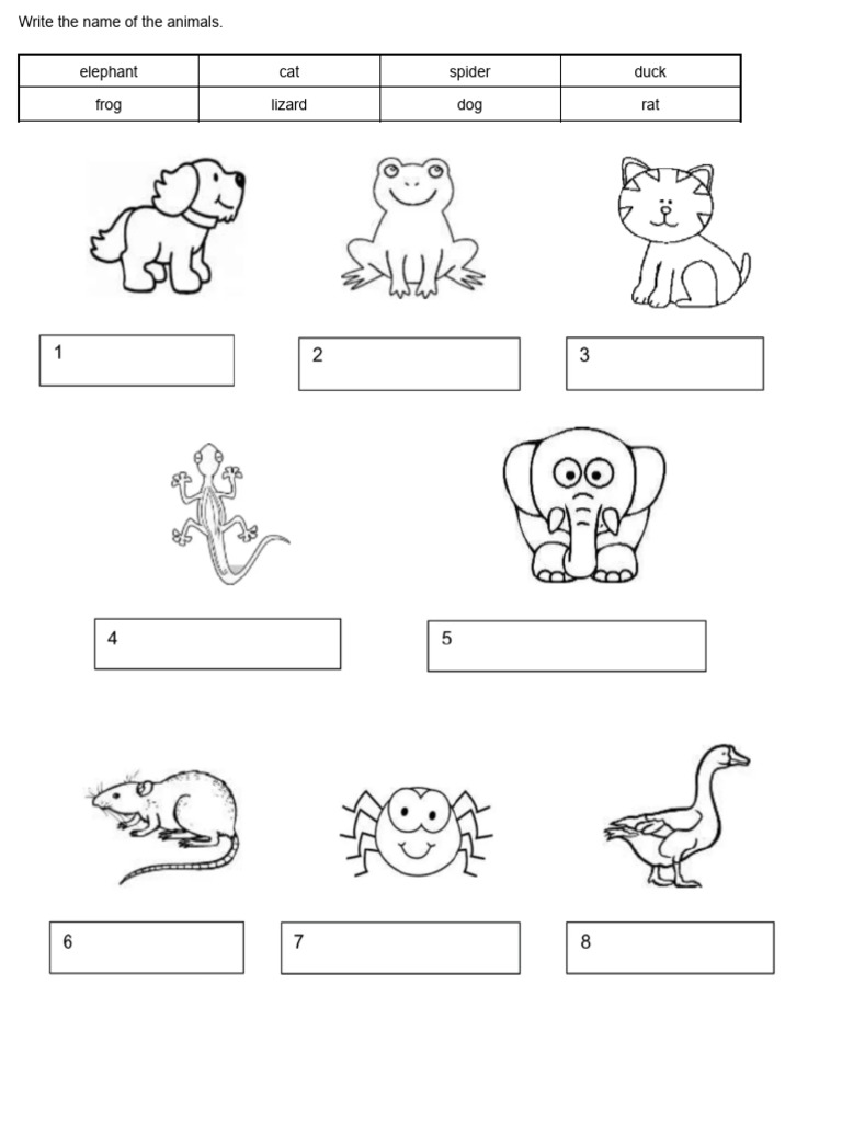 Virtual Pet Show Ideas