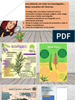 Trabajo Infografía Planta Medicinal