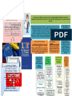 PDF Marianyi Laya Infografia