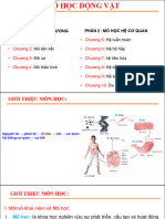 CHƯƠNG I VÀ MỞ ĐẦU