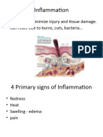 Inflammatory Response
