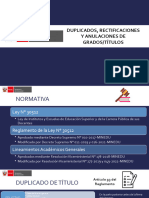 Artículo 93 - Duplicados, Rectificación y Anulación