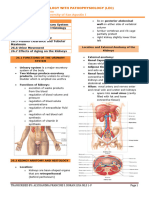 Anaphy Chapter 26 Urinary System Doran MLS 1 F