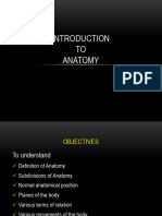 Introduction To Anatomy