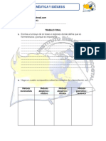 Trabajo Final Hermeneutica y Exegesis