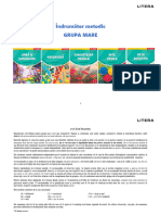 Indrumator - Grupa Mare PDF