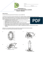 Laboratorio 11 - Moluscos 2023