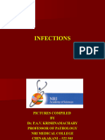 6 Infections