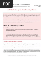 Self-Sufficiency Matrix Overview | PDF