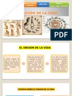 Semana 10 - Evolucion de La Vida