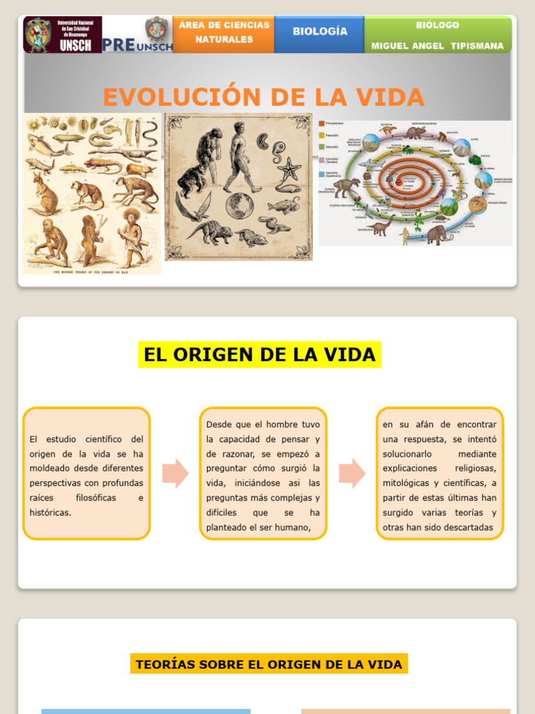 Teorías del Origen de la Vida | PDF | Evolución | Abiogénesis