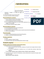 Clase 9 - Funcion Arterial